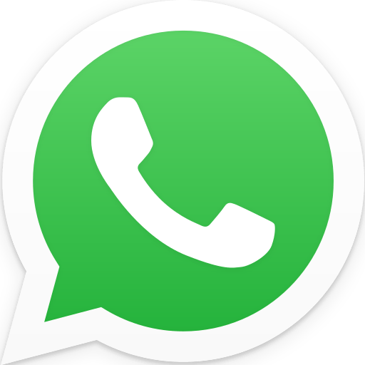Order on WhatsApp Feature